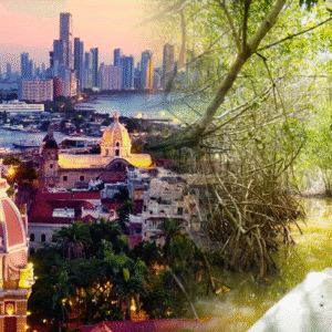 City Tour y Manglares