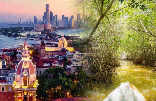 City Tour y Manglares