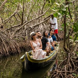 Ruta manglar especial