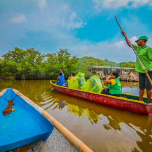 Ruta manglar sin almuerzo